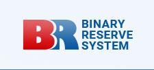 Binary Reserve System Logo